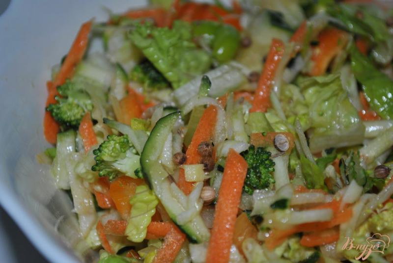 Фото приготовление рецепта: Свежий салат с кориандром и имбирем шаг №9