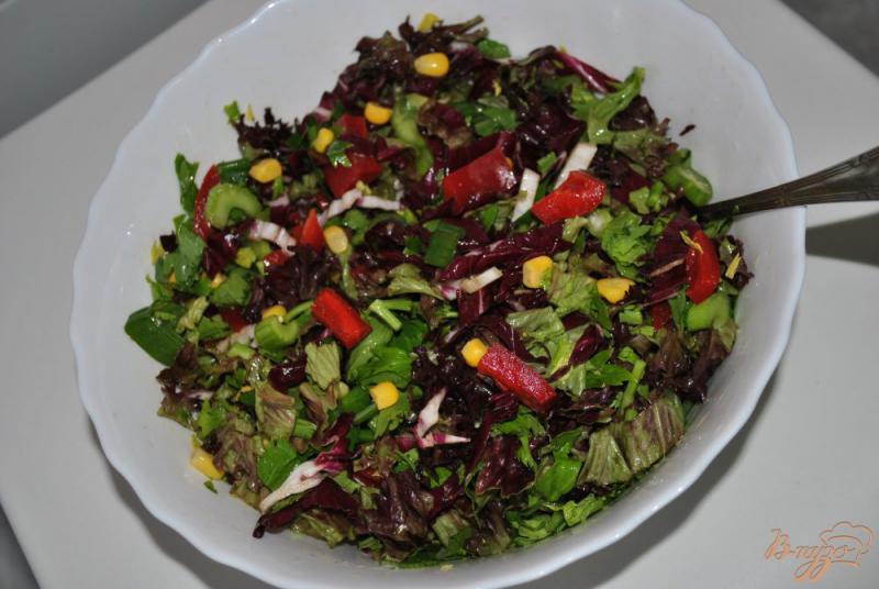 Фото приготовление рецепта: Салат с красной капустой шаг №7