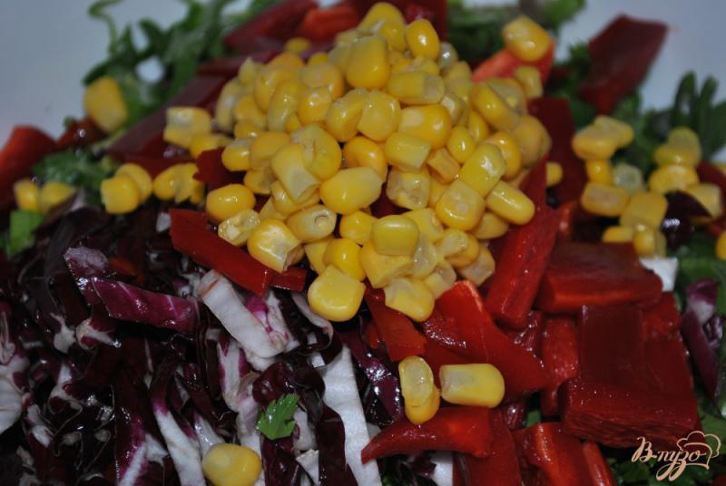Фото приготовление рецепта: Салат с красной капустой шаг №6