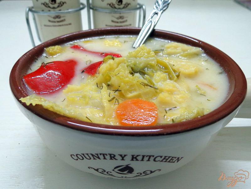 Фото приготовление рецепта: Суп с савойской капустой шаг №10