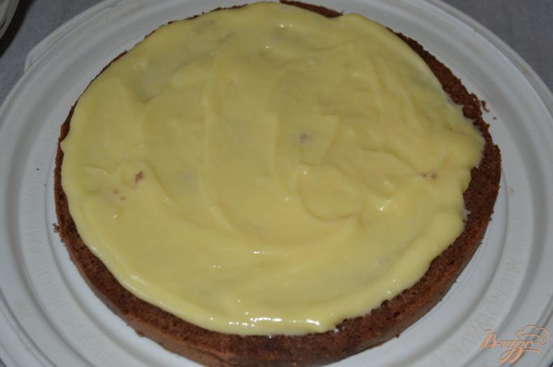 Фото приготовление рецепта: Шоколадный бисквит с нежным кремом шаг №9