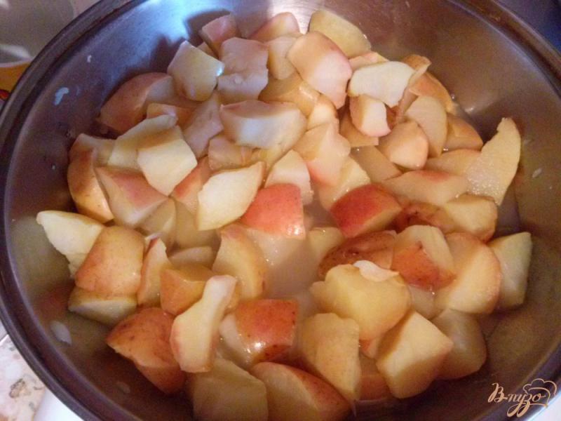 Фото приготовление рецепта: Тонкий мармелад из яблок шаг №1