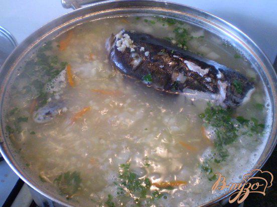 Фото приготовление рецепта: Суп рыбный из головы щуки и толстолоба шаг №7
