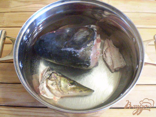 Фото приготовление рецепта: Суп рыбный из головы щуки и толстолоба шаг №2