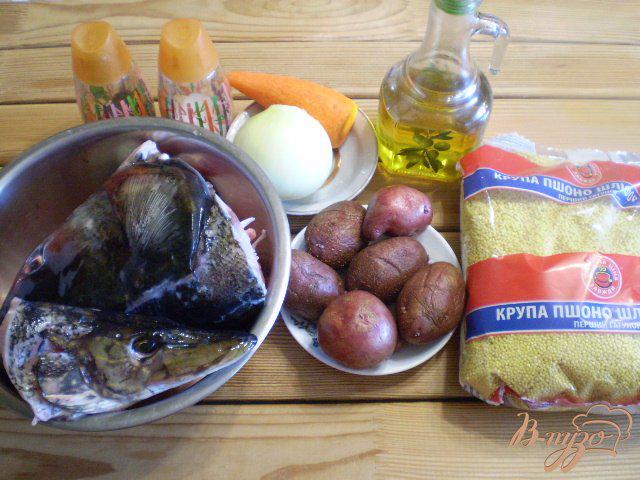 Фото приготовление рецепта: Суп рыбный из головы щуки и толстолоба шаг №1