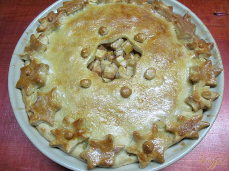 Фото приготовление рецепта: Яблочный пирог шаг №14