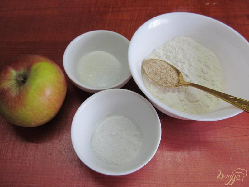 Фото приготовление рецепта: Хлеб яблочный шаг №1