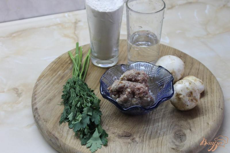 Фото приготовление рецепта: Чебуреки с грибами с зеленью и свининой шаг №1
