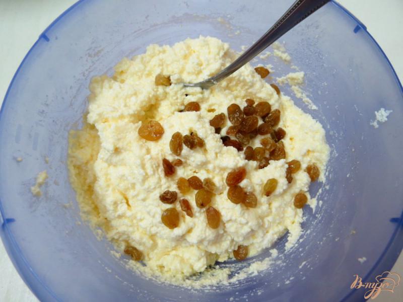 Фото приготовление рецепта: Сырники с изюмом и манной крупой шаг №5