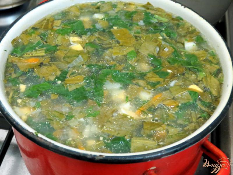 Фото приготовление рецепта: Суп со щавелем и шпинатом (постный) шаг №10