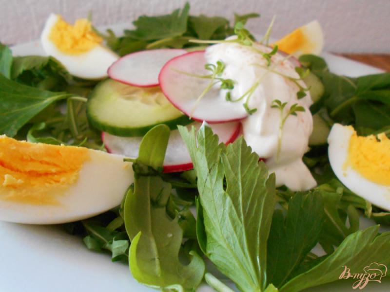 Фото приготовление рецепта: Весенний салат с редисом шаг №6