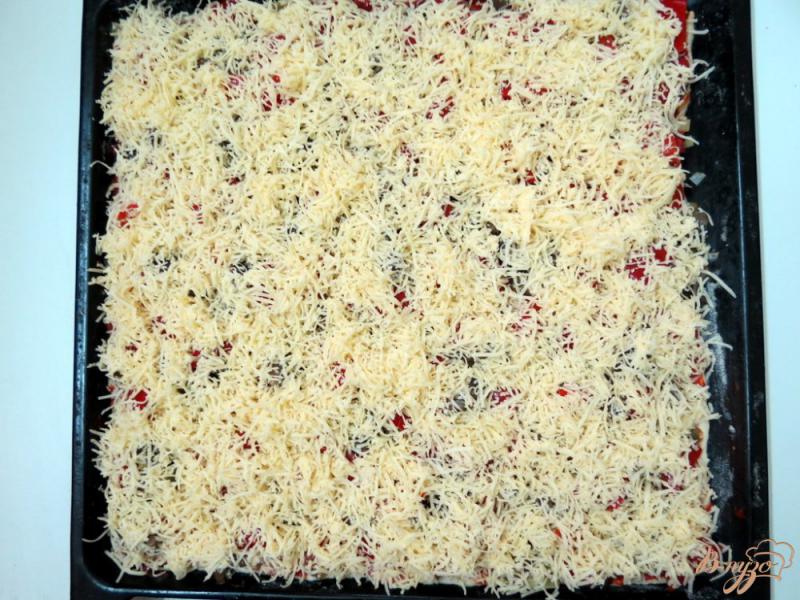 Фото приготовление рецепта: Пицца  с огурцами шаг №13