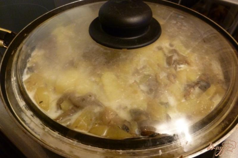 Фото приготовление рецепта: Молодой картофель с грибами,тушенный в молоке шаг №5