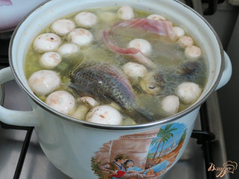 Фото приготовление рецепта: Суп с карасями, грибами и рисом. шаг №7