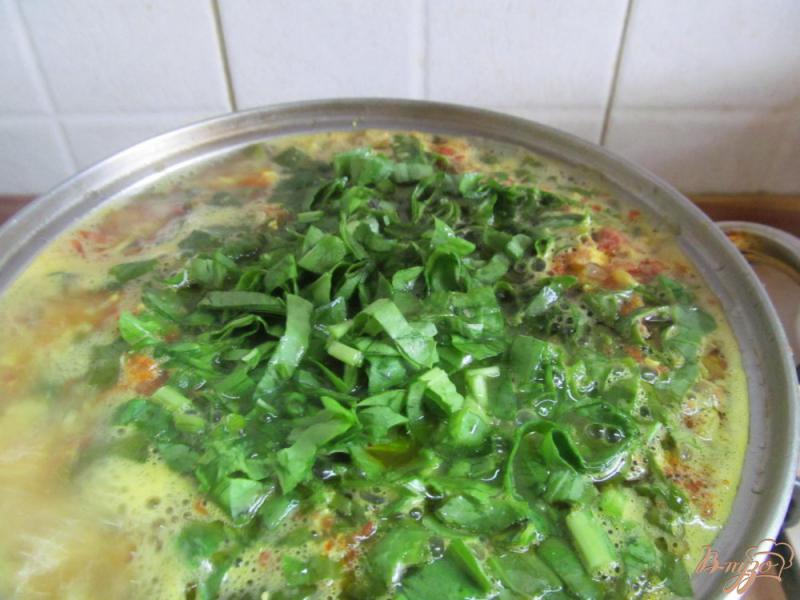 Фото приготовление рецепта: Зеленый борщ с томатом и пшеном шаг №11