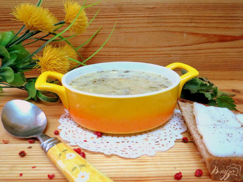 Фото приготовление рецепта: Суп с крапивой и щавелем шаг №11