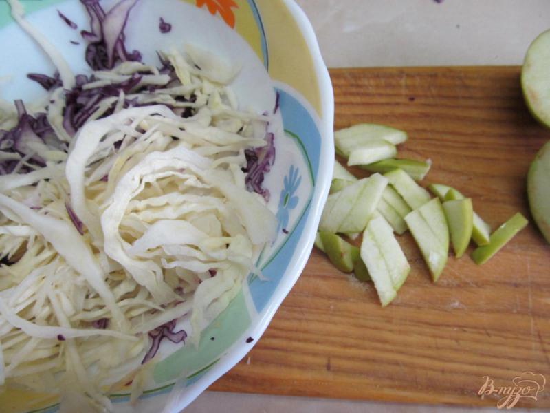 Фото приготовление рецепта: Салат из капусты с яблоком и семенами чиа шаг №2