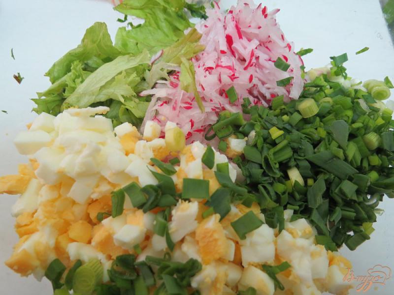 Фото приготовление рецепта: Салат из ботвы редиса, огурца и редиса шаг №9