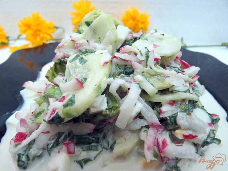Фото приготовление рецепта: Салат из ботвы редиса, огурца и редиса шаг №12