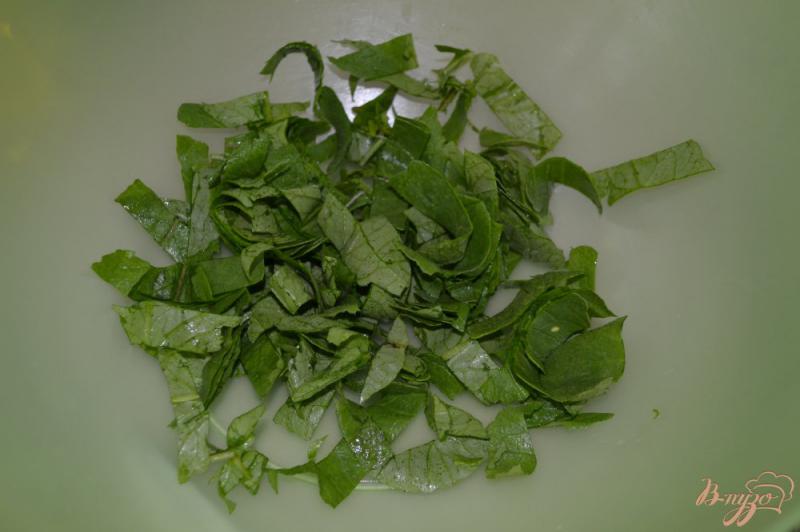 Фото приготовление рецепта: Салат из редиса и зелени шаг №2