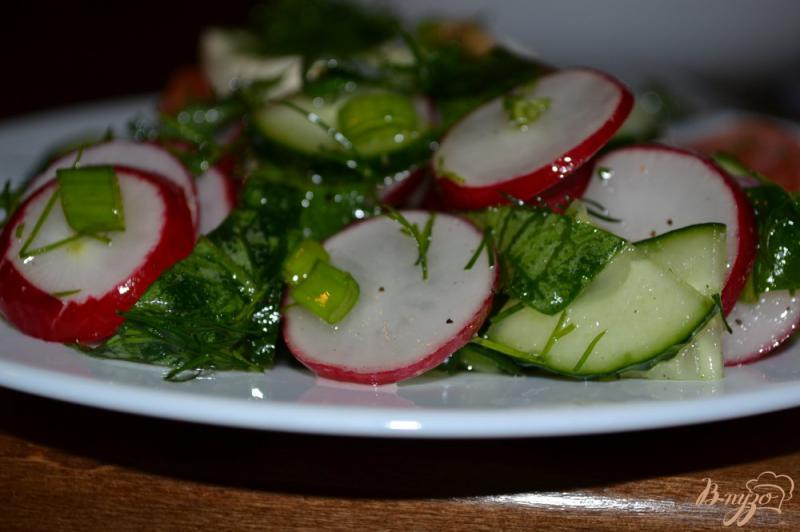 Фото приготовление рецепта: Салат из редиса и зелени шаг №7
