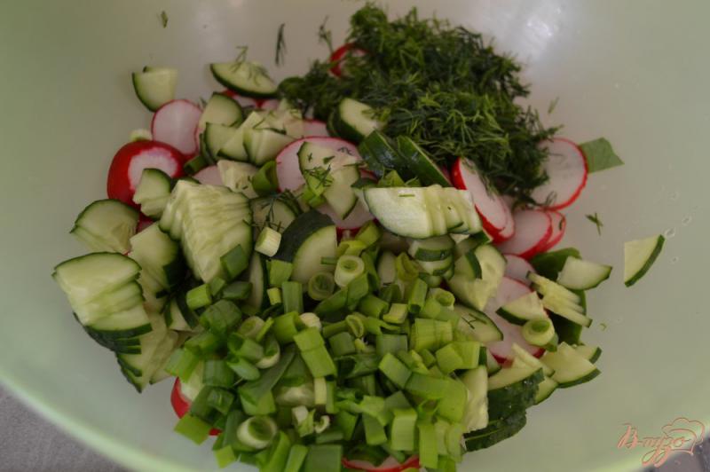 Фото приготовление рецепта: Салат из редиса и зелени шаг №5
