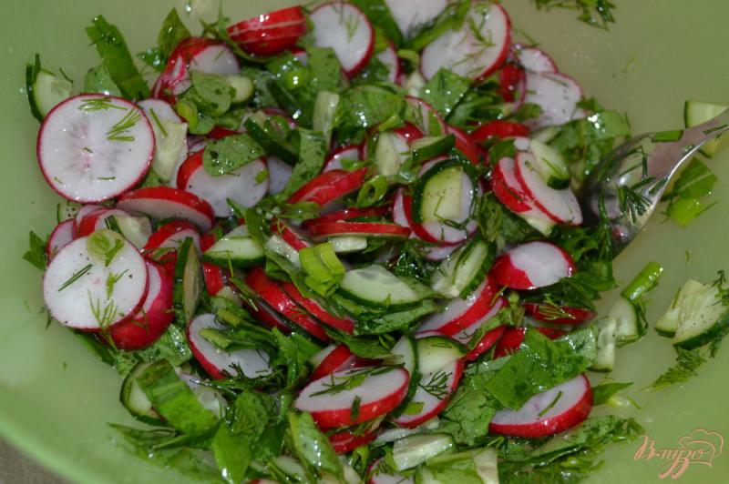Фото приготовление рецепта: Салат из редиса и зелени шаг №6