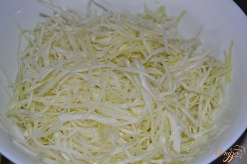 Фото приготовление рецепта: Свежий салат из капусты шаг №1
