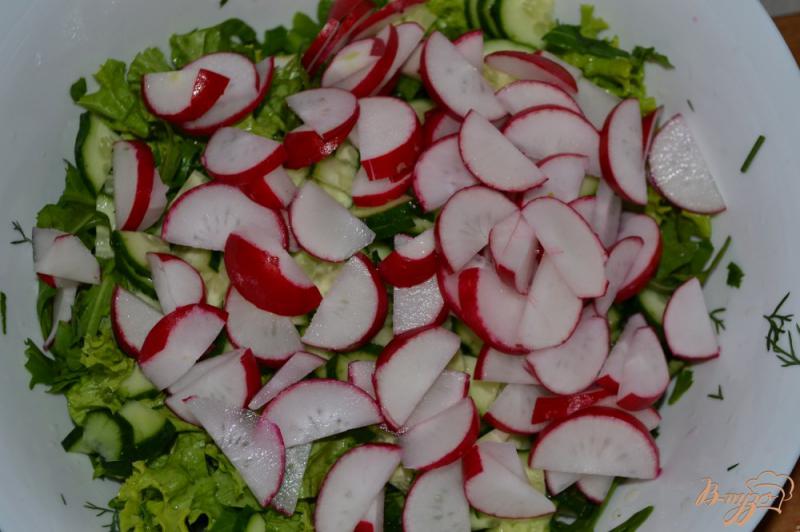 Фото приготовление рецепта: Салат из рукколы, редиса и листьев салата шаг №4