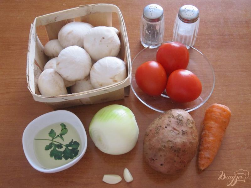 Фото приготовление рецепта: Суп с помидорами и грибами шаг №1
