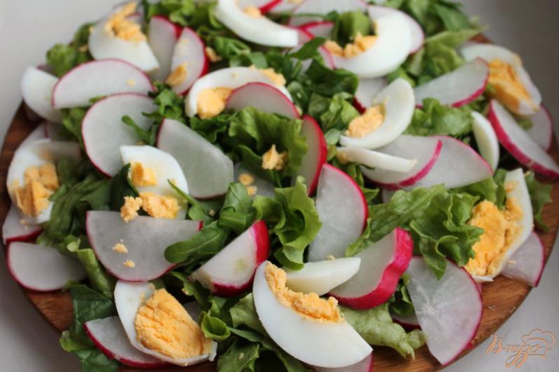 Фото приготовление рецепта: Весенний салат с редисом шаг №4