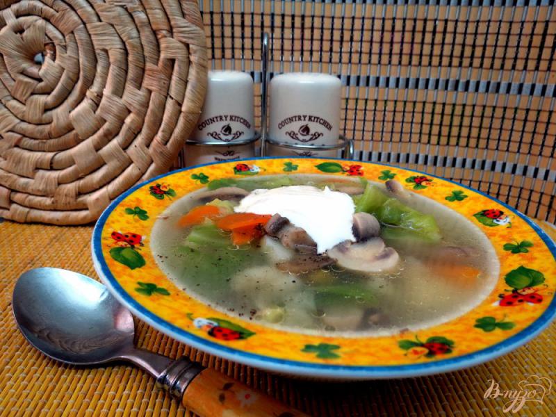 Фото приготовление рецепта: Суп овощной со свежей капустой и грибами шаг №9