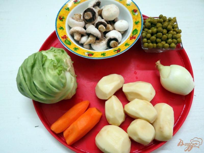 Фото приготовление рецепта: Суп овощной со свежей капустой и грибами шаг №1