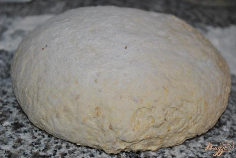 Фото приготовление рецепта: Хлеб с кунжутом и льном шаг №3