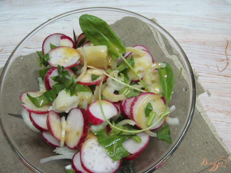 Фото приготовление рецепта: Салат из картофеля и редиса шаг №6