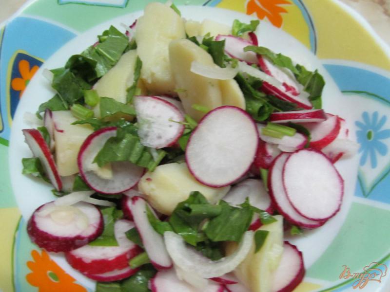Фото приготовление рецепта: Салат из картофеля и редиса шаг №3