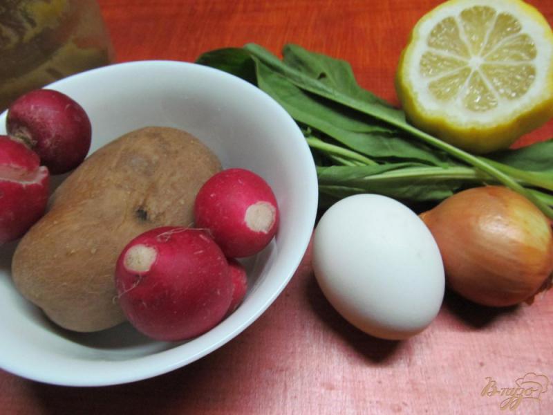 Фото приготовление рецепта: Салат из картофеля и редиса шаг №1