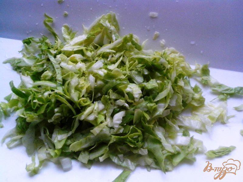 Фото приготовление рецепта: Сочный салат из свежих овощей шаг №2