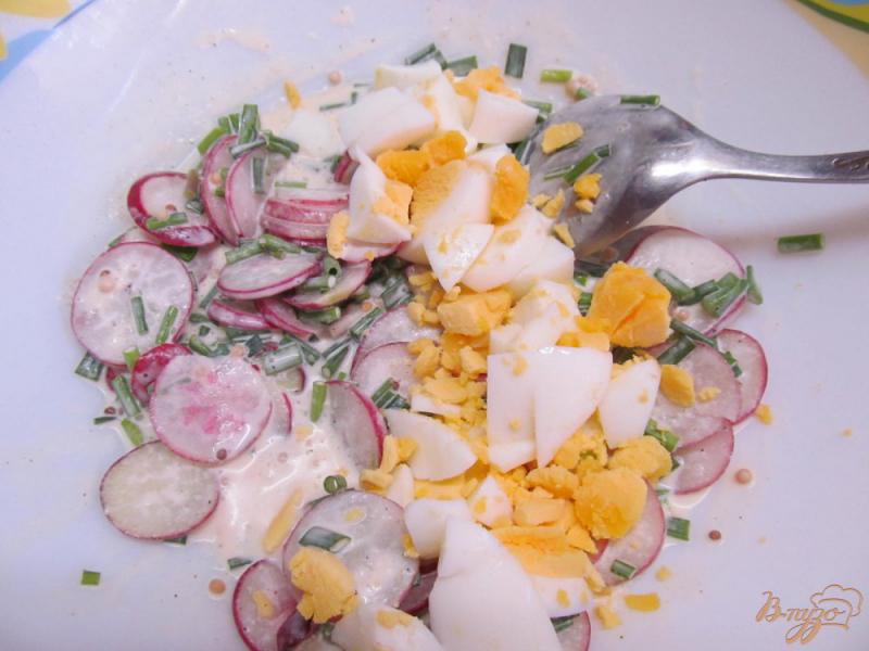 Фото приготовление рецепта: Салат из редиса и яйца шаг №6