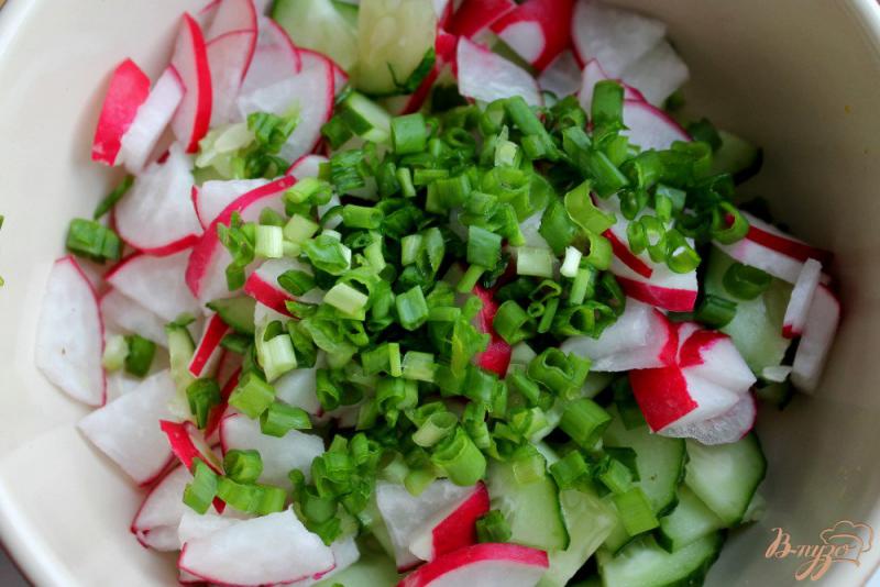 Фото приготовление рецепта: Салат с редисом огурцом и брынзой шаг №2
