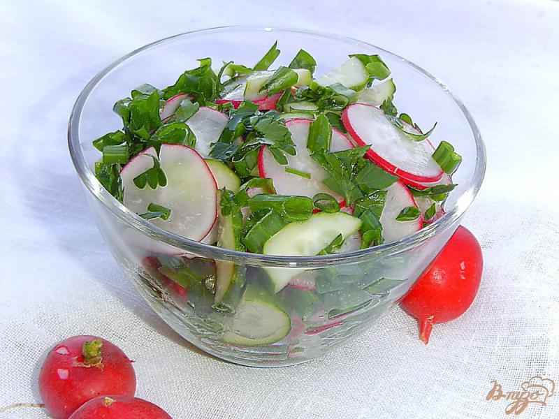 Фото приготовление рецепта: Весенний салат из редиса, огурца и зелени шаг №5