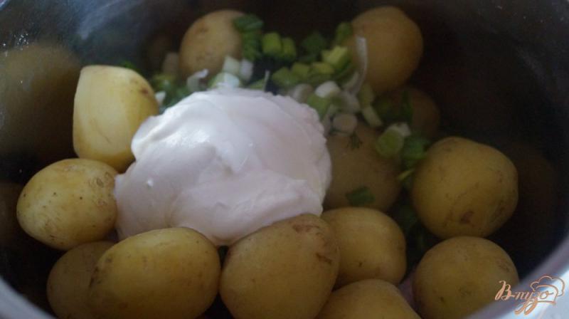 Фото приготовление рецепта: Картофель со сметаной и зеленью шаг №3