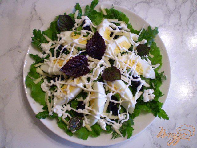 Фото приготовление рецепта: Салат с яйцом, листьями салата, маслинами и базиликом шаг №7