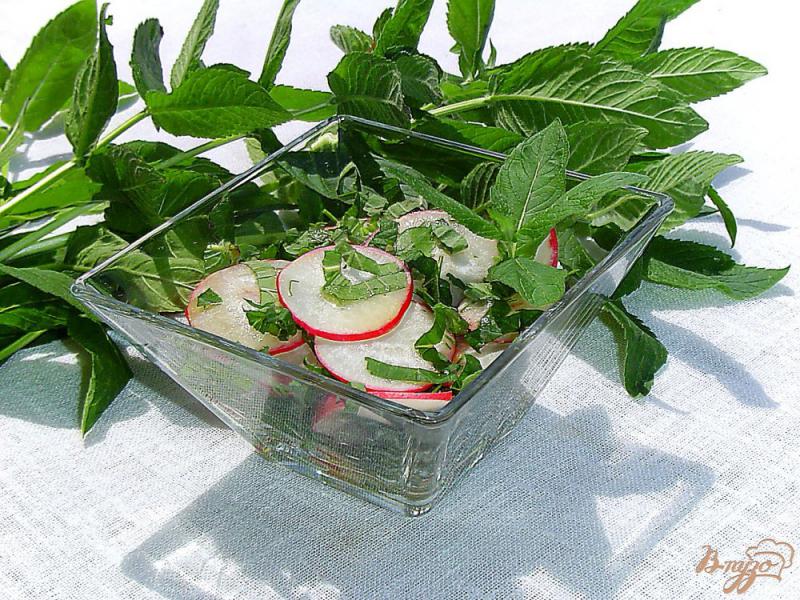 Фото приготовление рецепта: Салат из редиса, мяты и зелени шаг №5