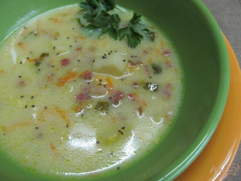 Фото приготовление рецепта: Сырный суп шаг №13