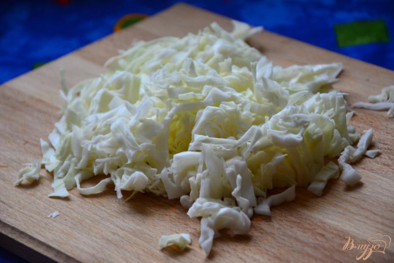 Фото приготовление рецепта: Бигус с капустой, фаршем и рисом. шаг №3