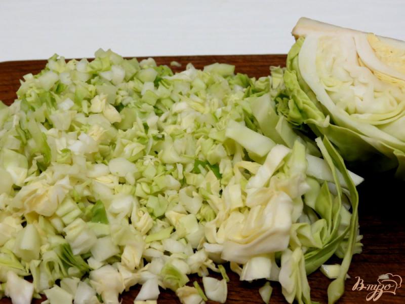 Фото приготовление рецепта: Оладьи с капустой. шаг №2