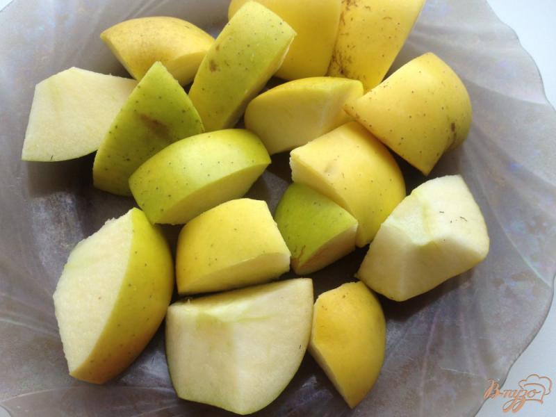 Фото приготовление рецепта: Индейка, запеченная с яблоками в рукаве шаг №4