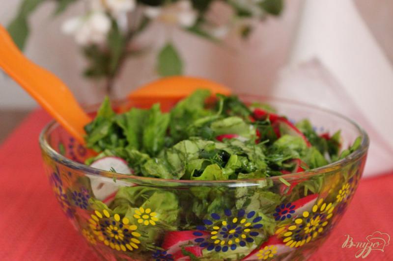 Фото приготовление рецепта: Салат с редисом и зеленью шаг №5