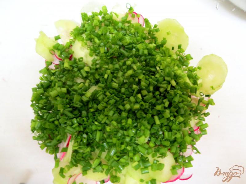 Фото приготовление рецепта: Салат из редиса с капустой. шаг №6